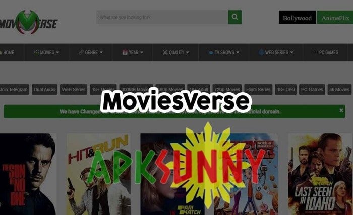 moviesverse pro